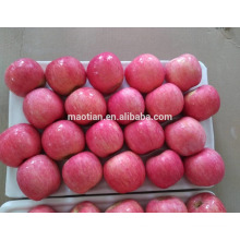 Shandong Frischer roter Fuji Apfel-Blush